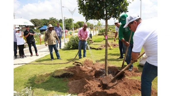 Ocho Mil Arboles Mas Seran Sembrados En Barranquilla Mas Verde