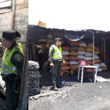 Policía incautó 108 bultos de carbón vegetal en el barrio Alboraya