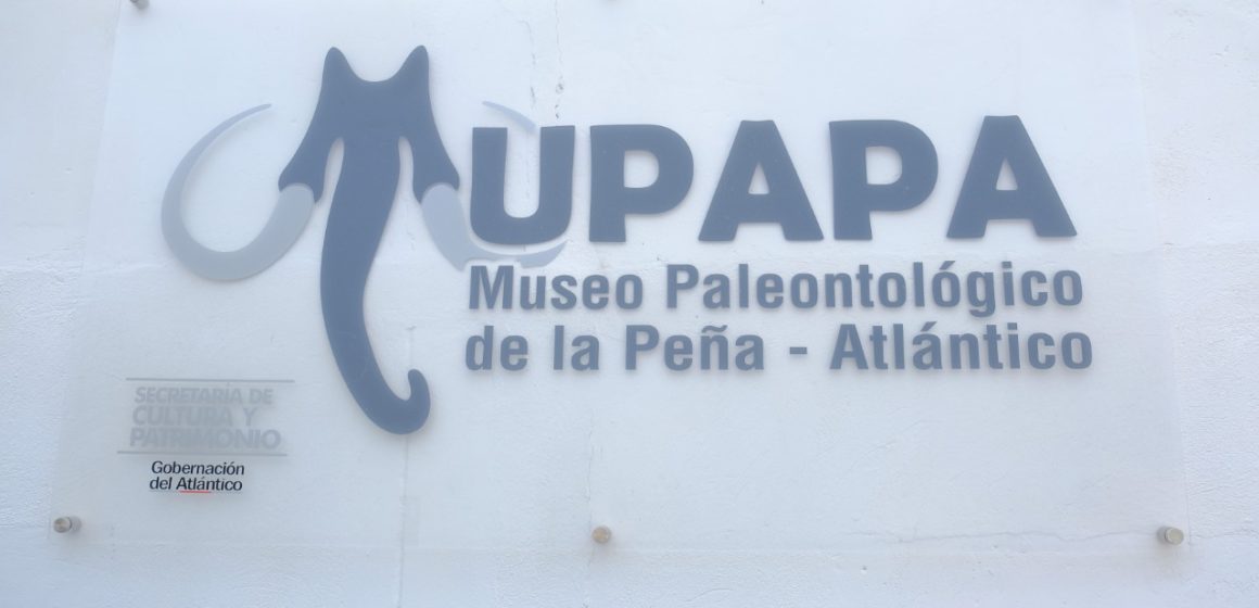 #AtlánticoLíderEnObras: Verano pone al servicio el primer Museo Paleontológico de la Región Caribe