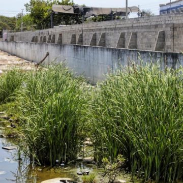 Limpieza del arroyo Salamanca una estrategia de Soledad Cero Basura