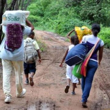 Catatumbo: entre la violencia, los cultivos ilícitos y la desidia