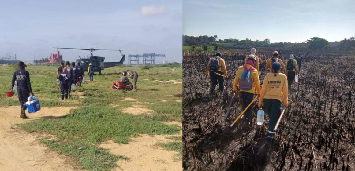 Bomberos reinician labores de control en incendio forestal en Isla Salamanca