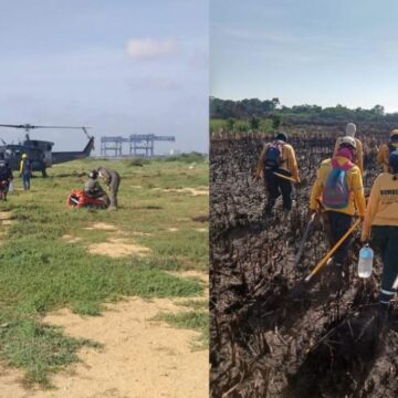 Bomberos reinician labores de control en incendio forestal en Isla Salamanca