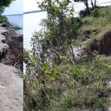 ¡Alarma! Fuerte erosión del río Magdalena amenaza los cultivos en vereda Caimital de Malambo