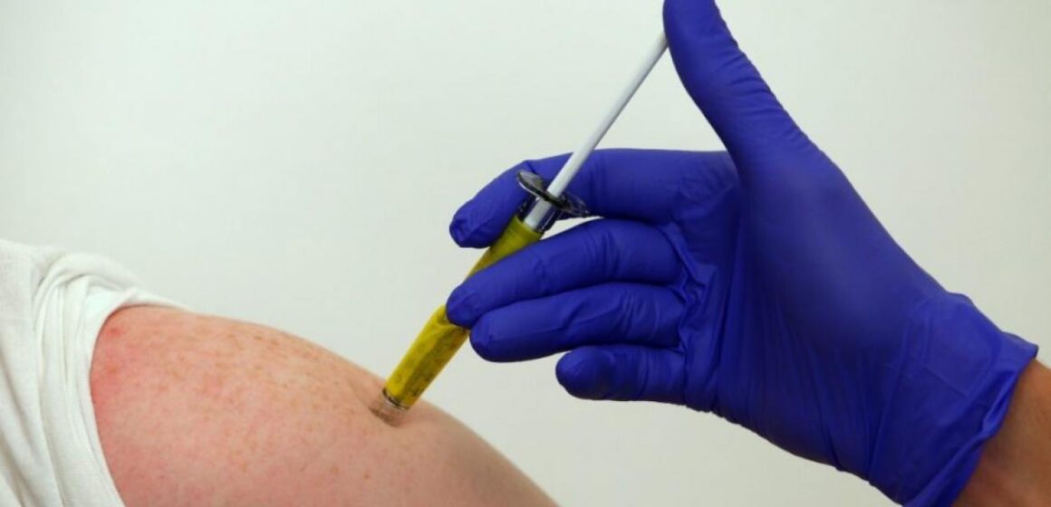 Exitosa resultó en hámsters prueba de vacuna de Johnson & Johnson contra el Covid-19